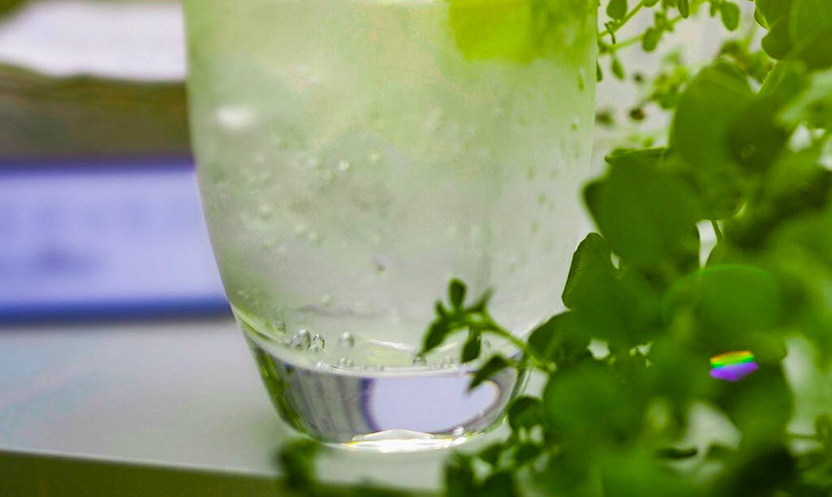 GREY GOOSE Vodka Lime and Soda Cocktail Recipe GREY GOOSE