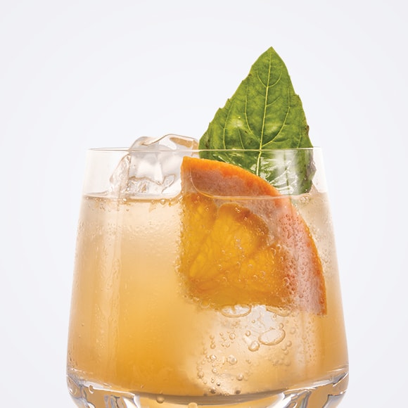 Grapefruit Vodka Soda Cocktail Recipe GREY GOOSE