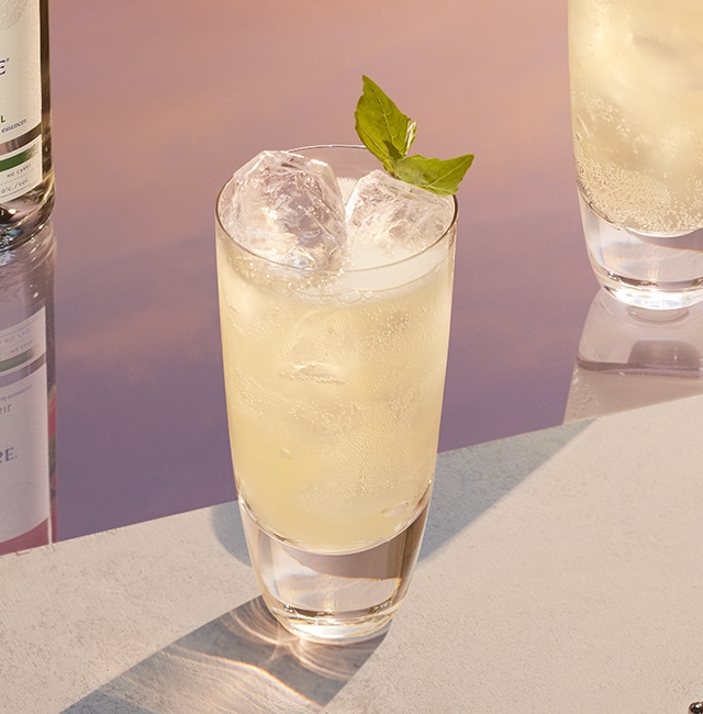 Watermelon Southside Cocktail with Vodka GREY GOOSE