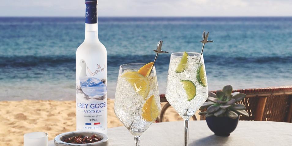 What is the best way to drink GREY GOOSE<sup>®</sup> Vodka?