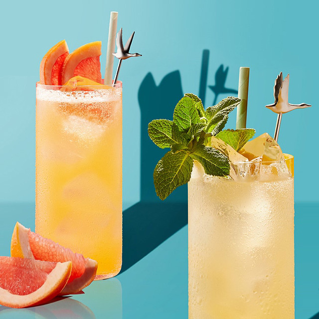 Goose & Juice Summer Vodka Drinks with Juice GREY GOOSE