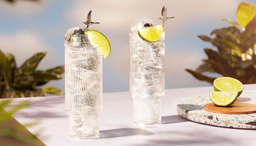 Best Drinks to Order at the Bar Popular Bar Drinks GREY GOOSE