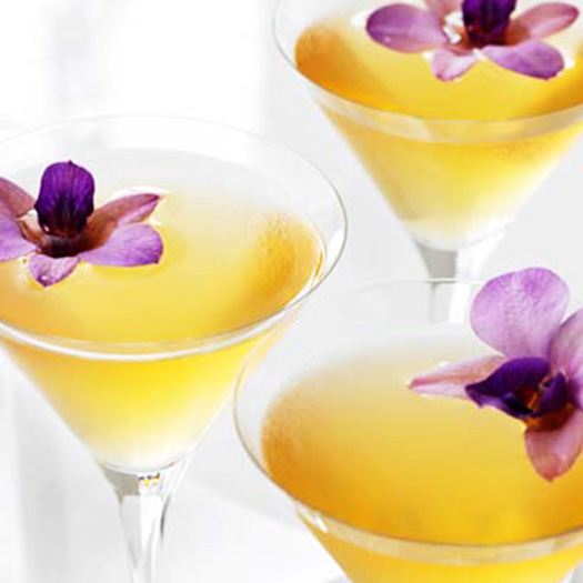 Recettes cocktails à la vodka GREY GOOSE